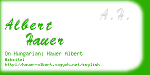 albert hauer business card